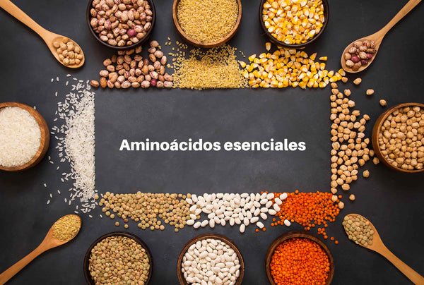 ¿Cuáles son los 9 aminoácidos esenciales y para qué sirven?
