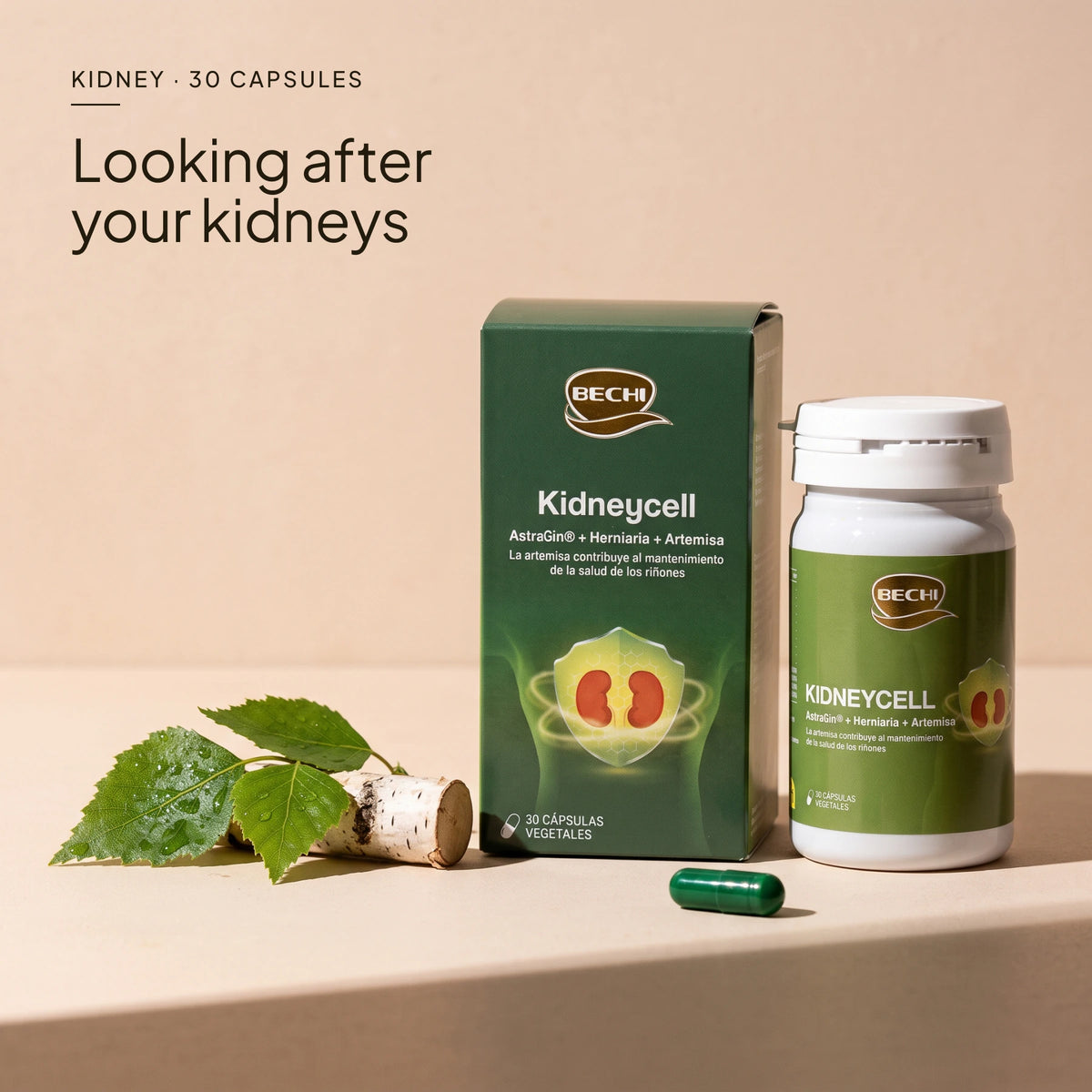 Bechi Kidneycell · lifestyle