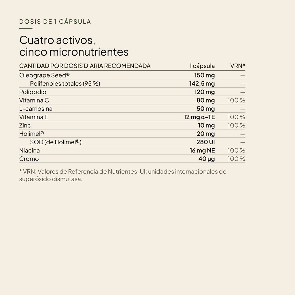 bechibeauty-anti-a-g-e-protect-2-beneficios