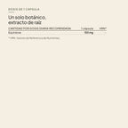 bechiequinacea-2-beneficios