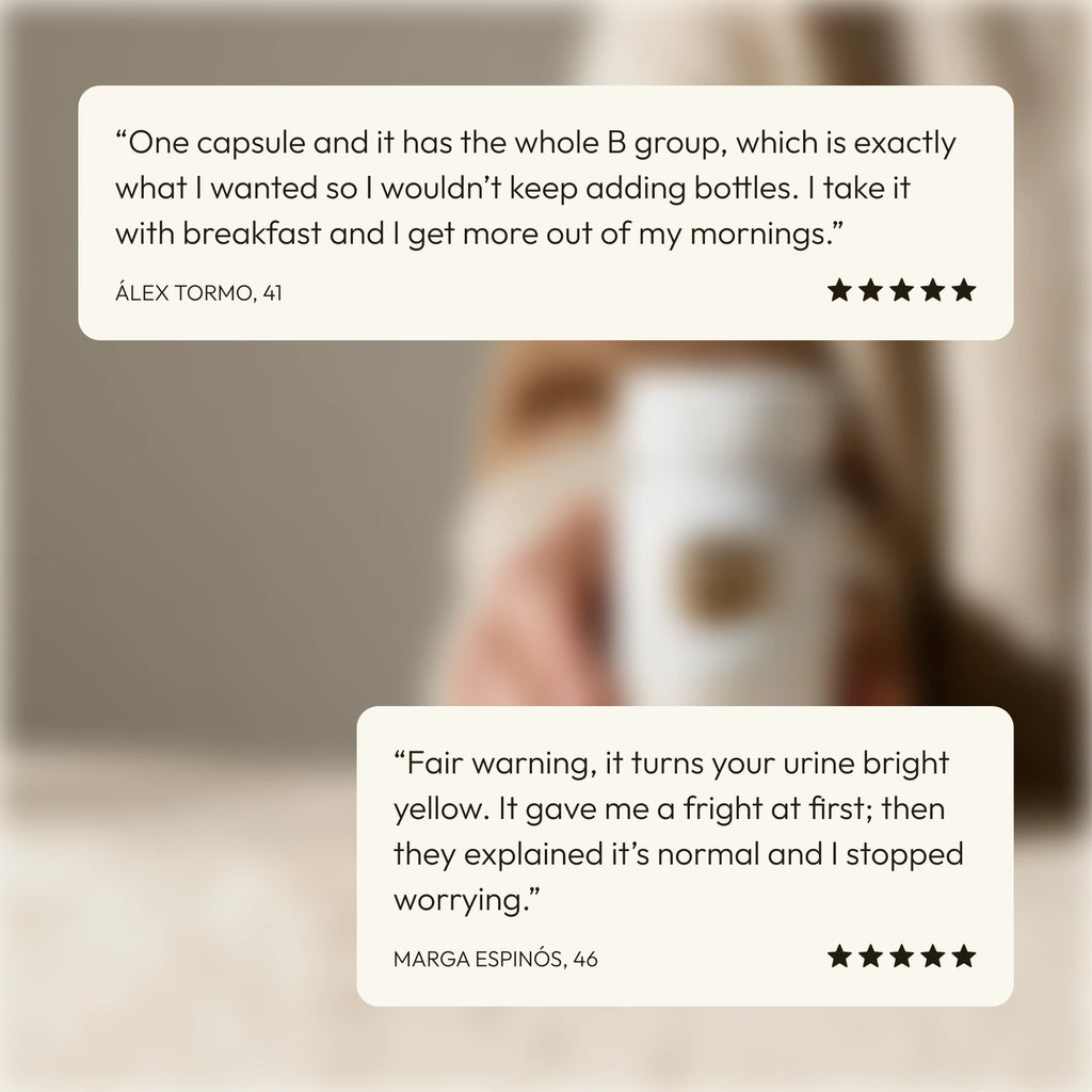 Bechivit B · reviews