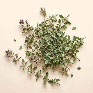 Aceite esencial de orégano