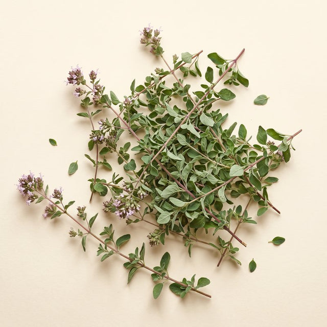 Aceite esencial de orégano