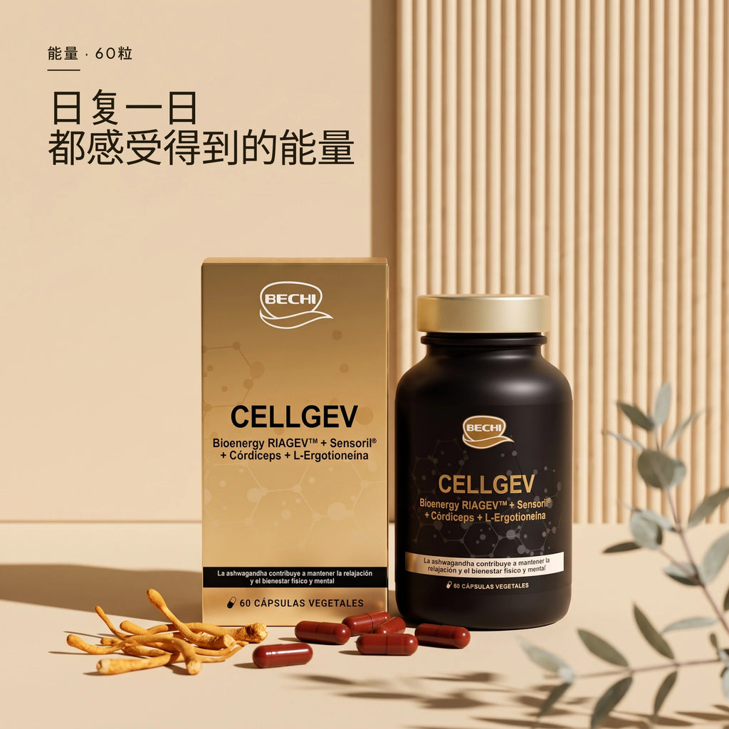 Bechi Cellgev · 场景