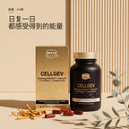 Bechi Cellgev · 场景