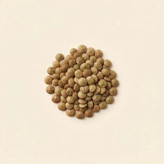 LipoFer™