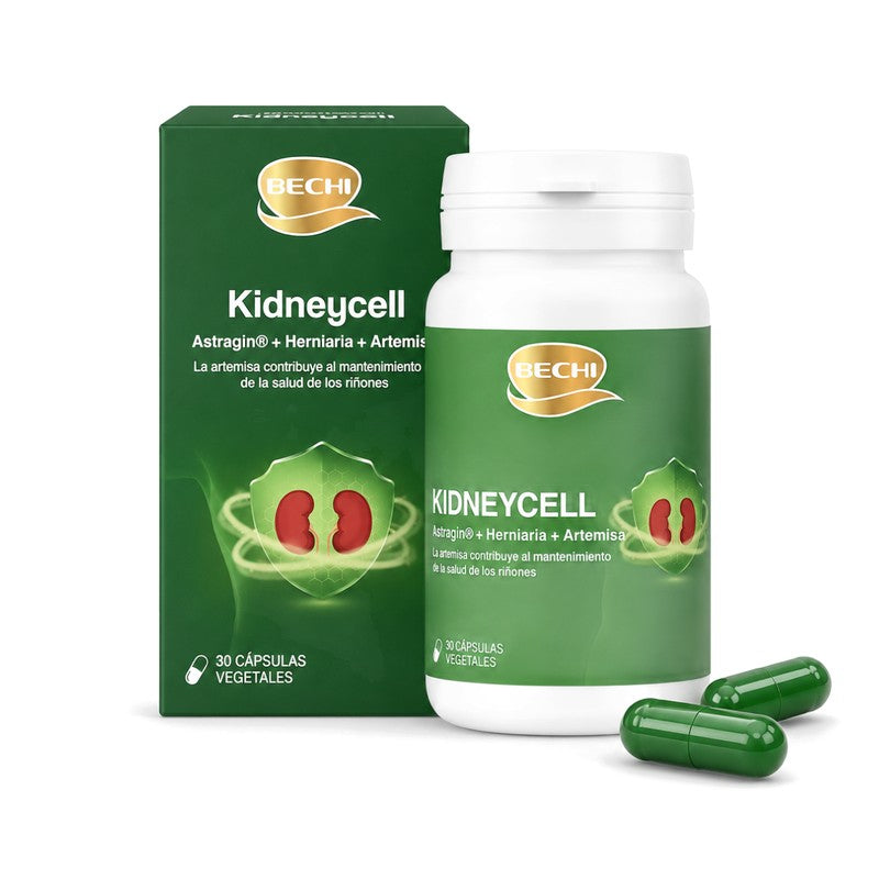 Bechi Kidneycell