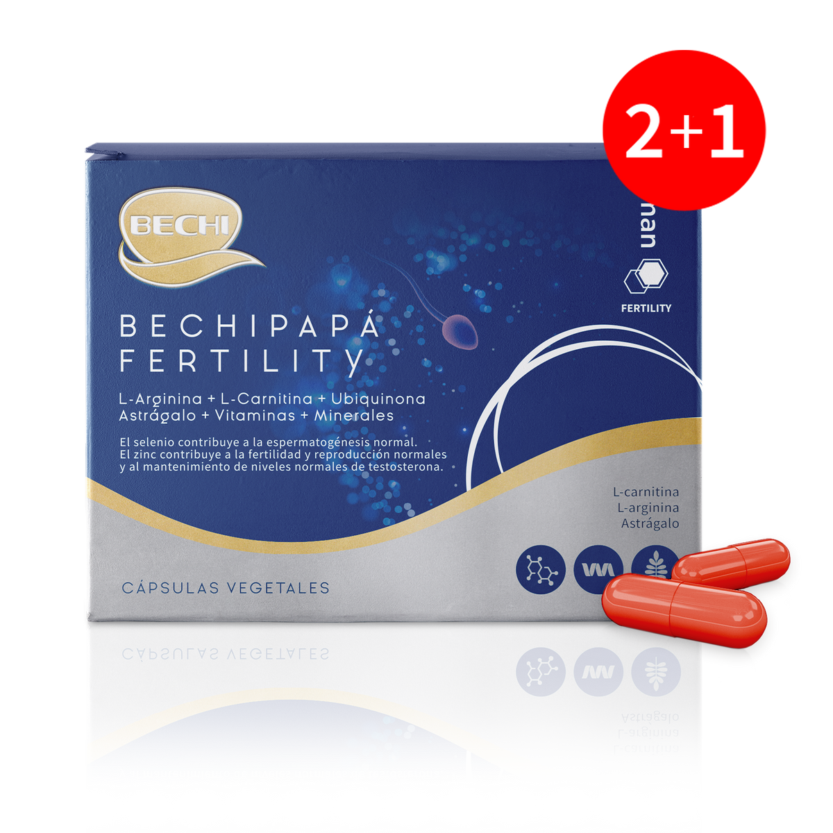 l-carnitina para la fertilidad masculina Complementos naturales para la fertilidad masculina – Bechi