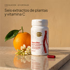 vascuflex-1-ambiente